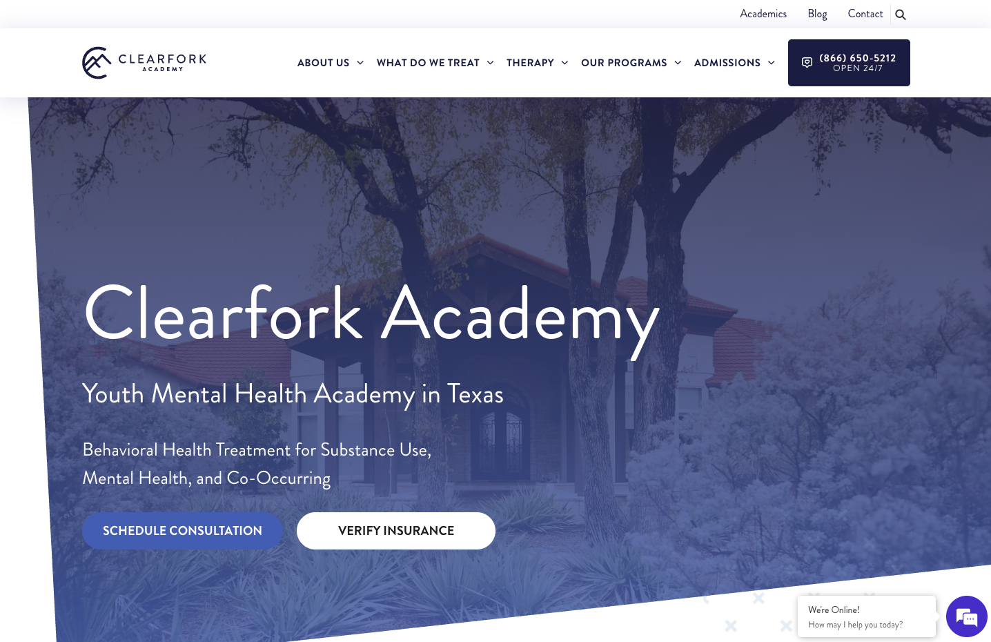 SEO – Clearfork Academy